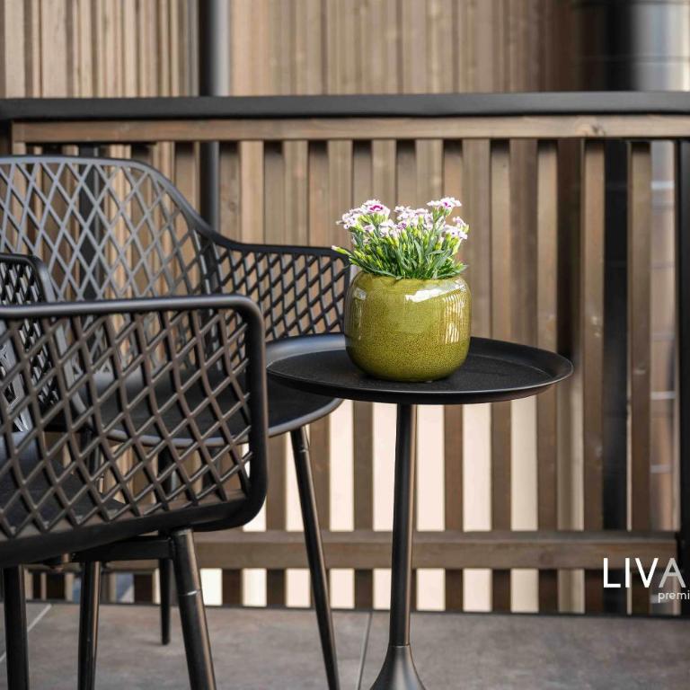 LIVALPIN Suite - Three-Bedroom Apartment with Balcony and Mountain View - 54