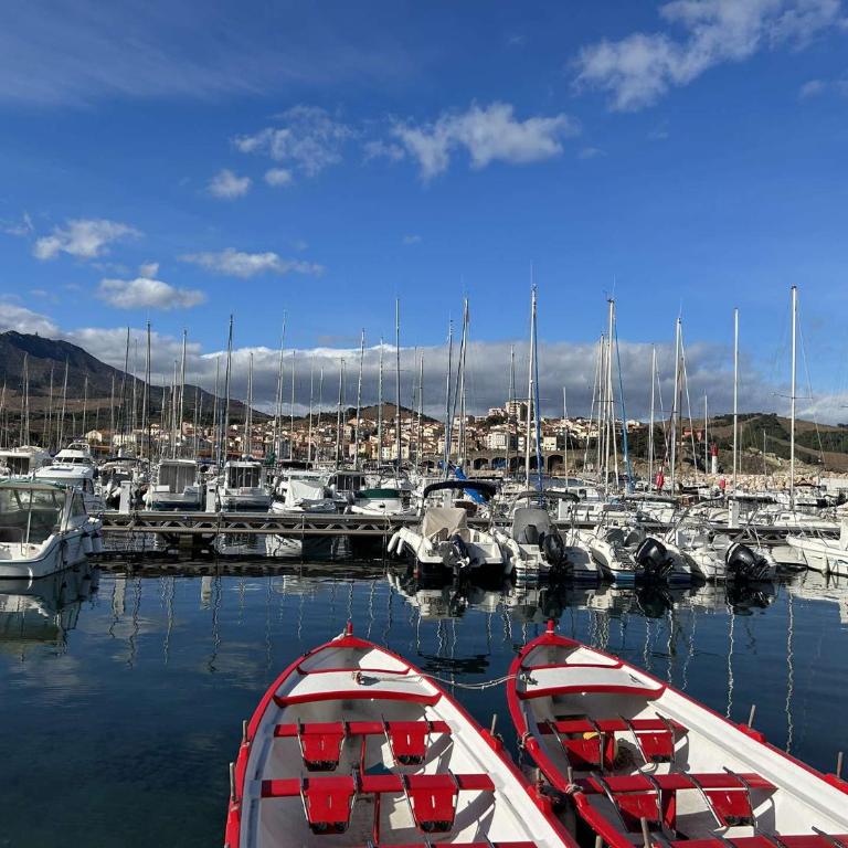 Appartement 3 pièces 5 couchages BANYULS SUR MER BN050-H03 - Two-Bedroom Apartment with Sea View - 20