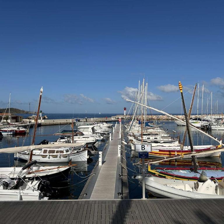 Appartement 3 pièces 5 couchages BANYULS SUR MER BN050-H03 - Two-Bedroom Apartment with Sea View - 21