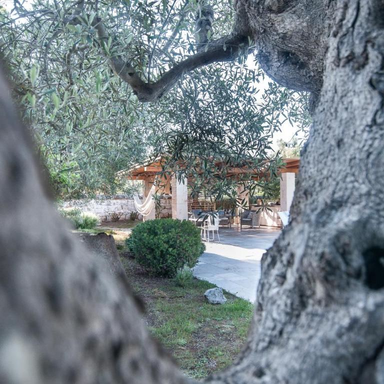 Il Trullo di Ben - with Private Pool in Locorotondo - Perfect for Couples & Quiet Escapes - Dogfriendly - Vacation Home - 24