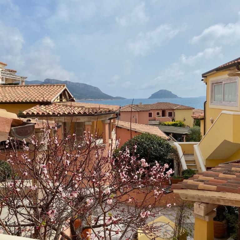 Luxury apartment Elicriso sea view with common swimming pool just 100 mt from the beach - Appartamento con 1 Camera da Letto - 5