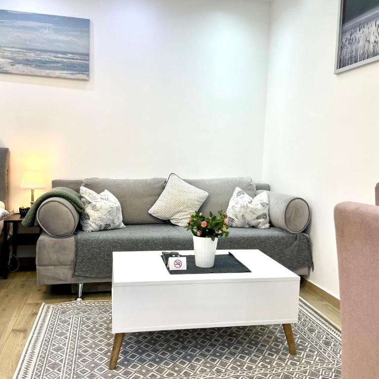 Perla Suite Vracar - One-Bedroom Apartment - 14