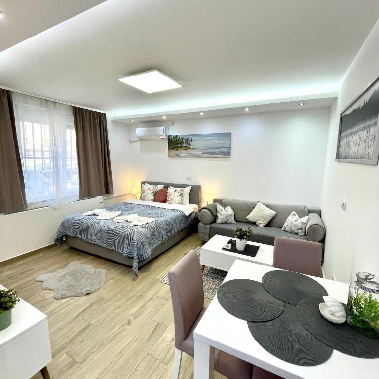 Perla Suite Vracar - One-Bedroom Apartment - 13