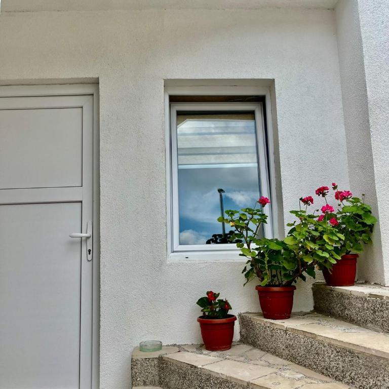 Filip - One-Bedroom Apartment - 1