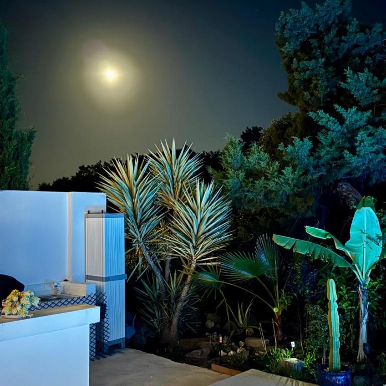 Casa Blu Marbella - Casa de 4 dormitorios - 21