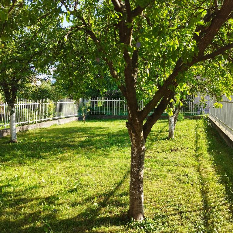Apartman 1 - Apartman sa 1 Spavaćom Sobom - 2
