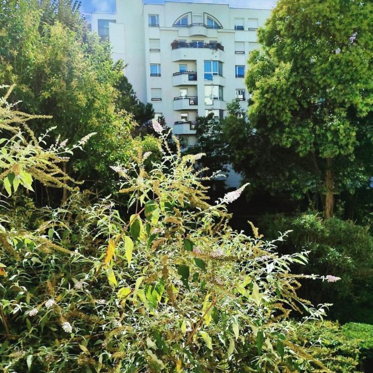 Apartment near Buttes Chaumont - Appartement - 15