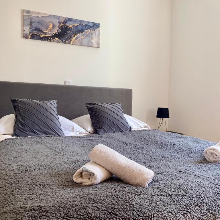 Sarajevo DeLuxe Apartment - Apartman sa 2 Spavaće Sobe - 5
