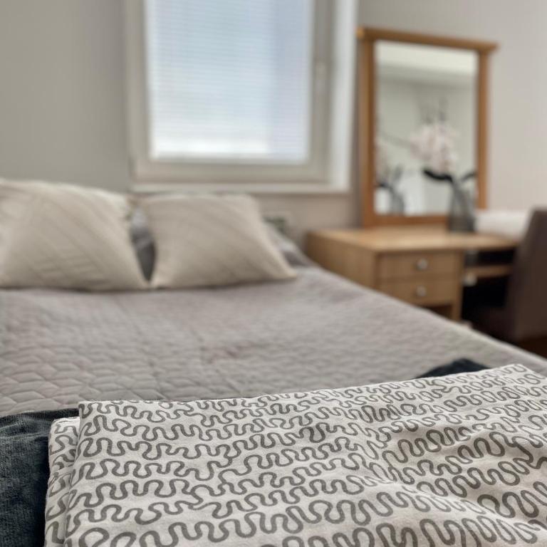 Sarajevo DeLuxe Apartment - Apartman sa 2 Spavaće Sobe - 5