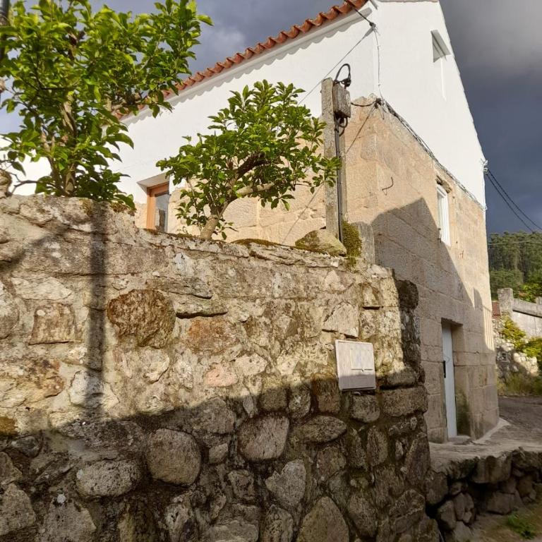 O lar do magnolio - Casa con 1 dormitorio - 10