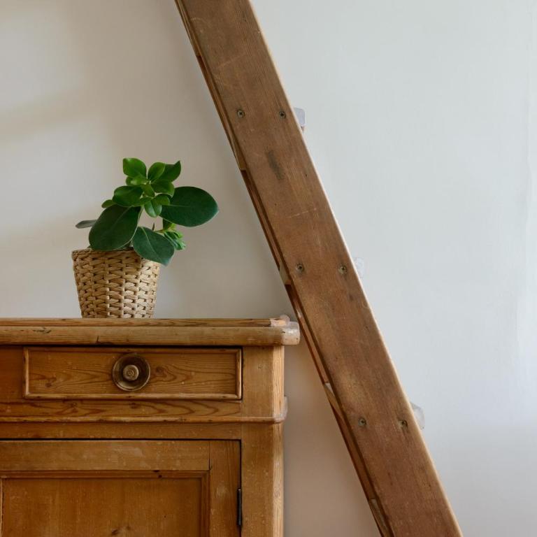 Cocon provençal dans le centre historique - Appartement 1 Chambre - 6
