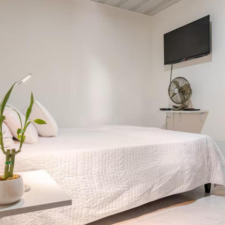 Apto moderno y acogedor - Apartamento de 2 dormitorios - 3