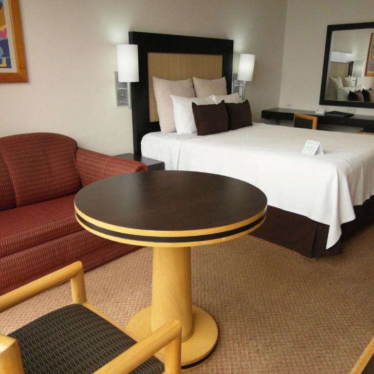 Hotel Royal Reforma - Habitación Estándar - 1 cama grande - 1