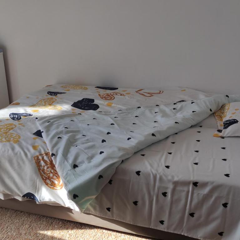 Stan na dan Nis - Apartman sa 2 Spavaće Sobe i Balkonom - 2