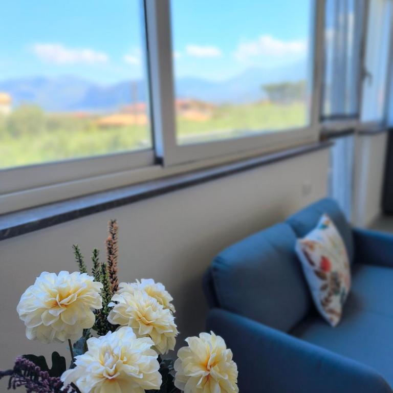 Piante del Principe - Apartamento de 1 dormitorio con vistas al mar - 14