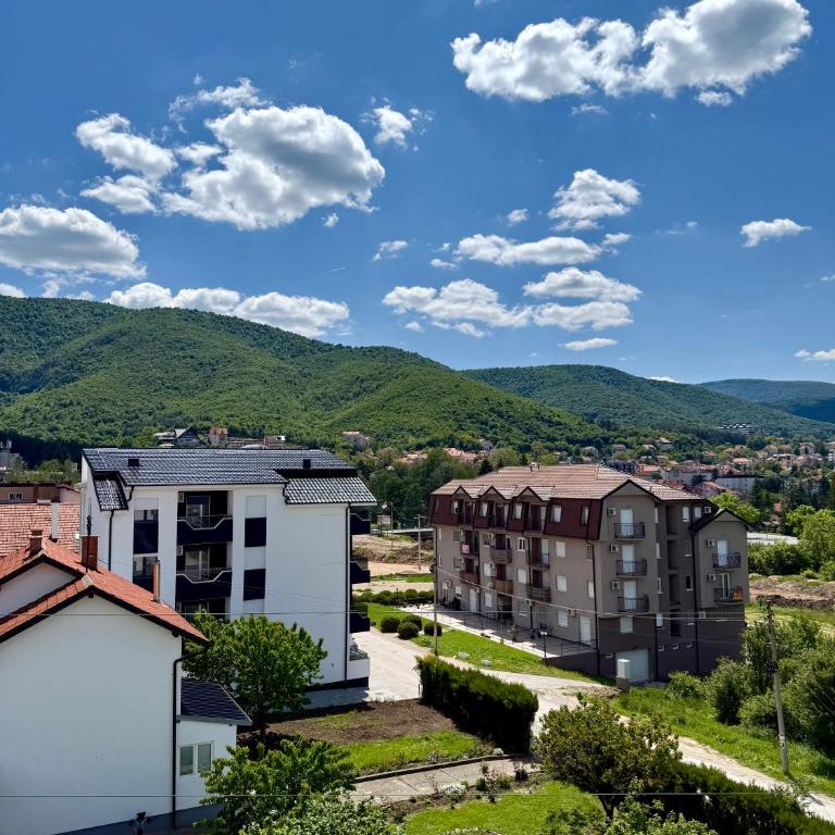 Aleksandar apartman Sokobanja - Apartman sa 1 Spavaćom Sobom - 28