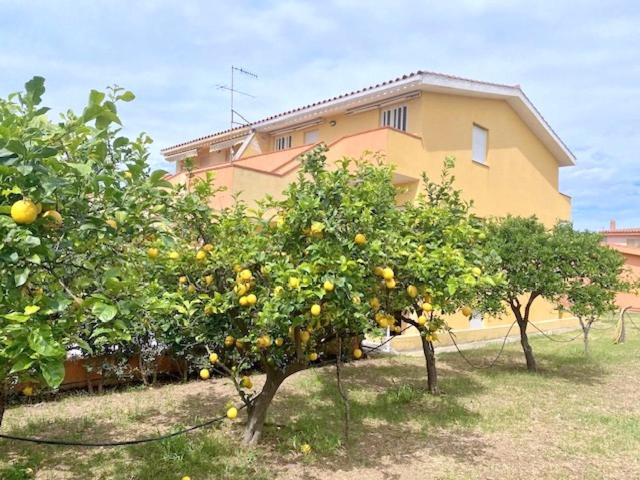 Iside, a pochi passi dal centro - One-Bedroom House - 20