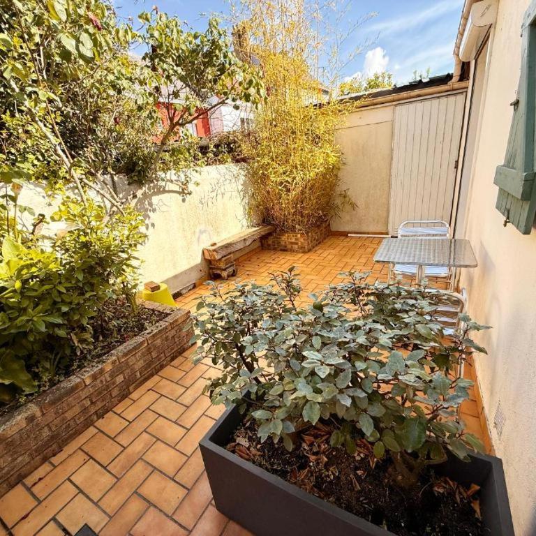 L'harmattan Studio T1 PREMIUM dans résidence Privée avec Patio à proximité - Studio Deluxe - 12
