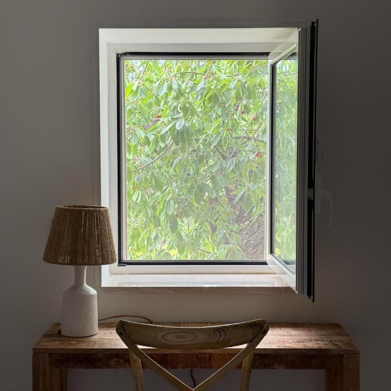 Trullo Pinto - Appartamento con 1 Camera da Letto - 10