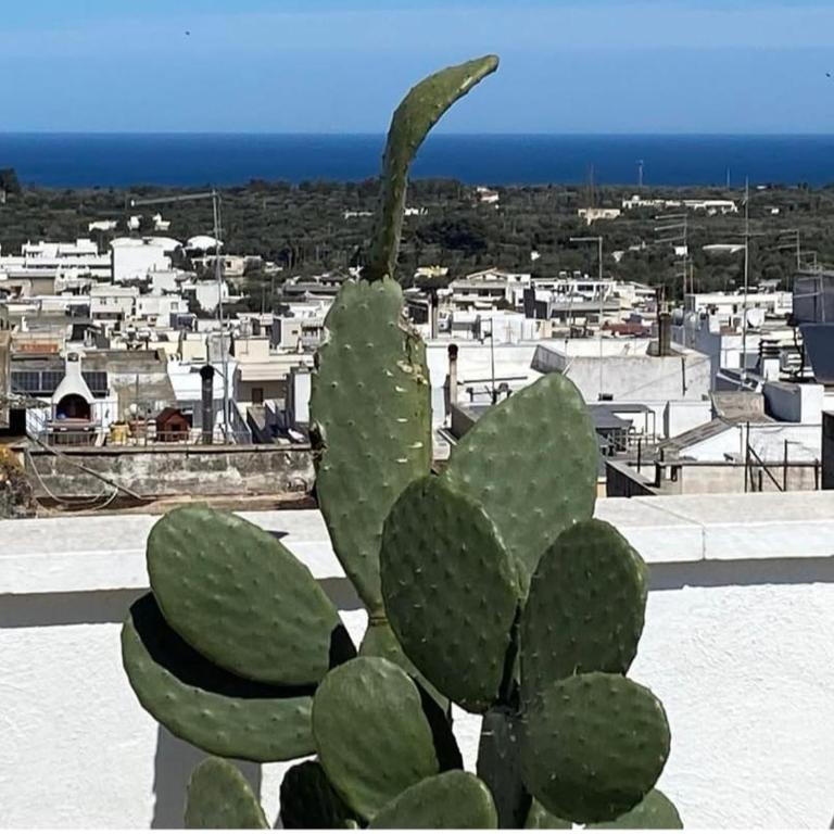 Casa Doucet - Appartamento con Terrazza - 3