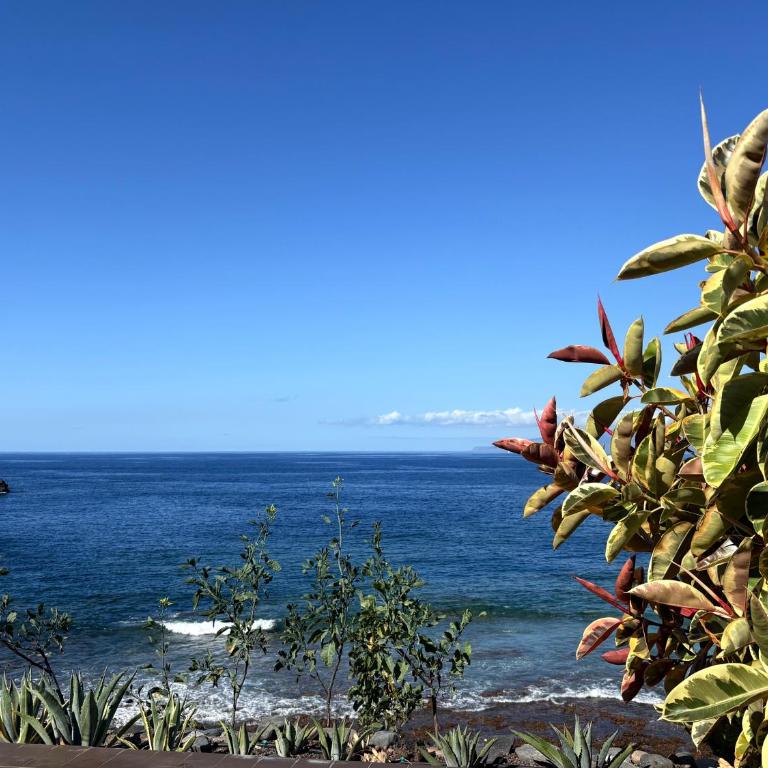Exclusive frontline one bedroom apartment - Apartamento - 4