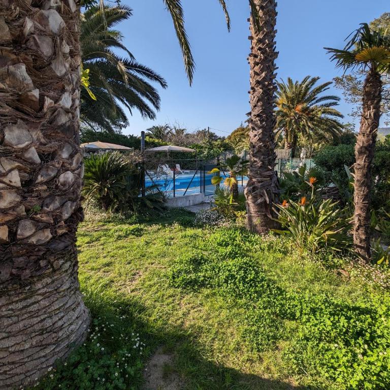 Le Mas de la Palmeraie - Appartement dans propriété privée au calme avec piscine et tennis - Maison 3 Chambres - 23