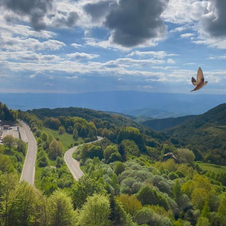 NLux Nest Milmari - Apartment with Mountain View - 6