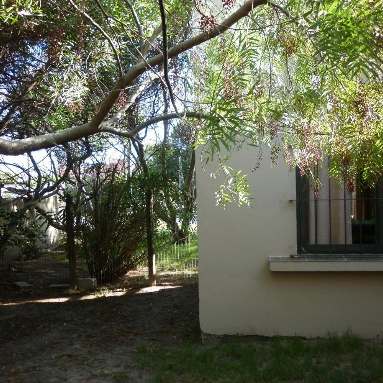 Casas de la Paloma - BUTIA - Casa de 2 dormitorios - 39