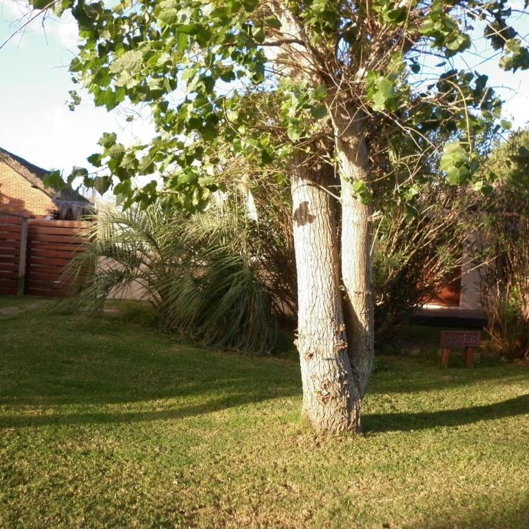 Casas de la Paloma - BUTIA - Casa de 2 dormitorios - 22