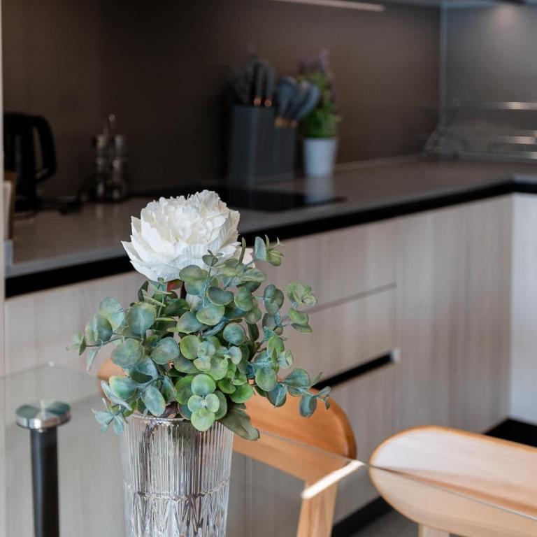 Radiant 1BR Apt in Prime Las Condes Location - Apartamento - 15