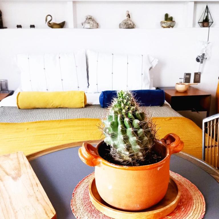 Loft REMEDIOS - penthouse CDMX - áreas comunes compartidas - One-Bedroom Apartment - 20