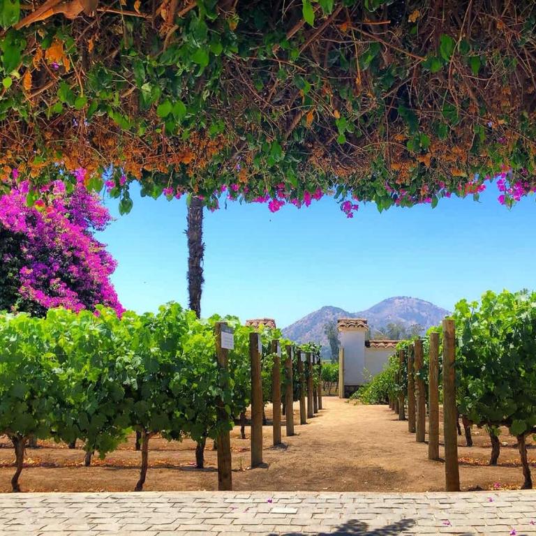 HT Calido Estudio en el Centro de Santiago - Apartamento - 43