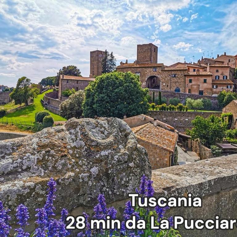 Appartamento nella Tuscia La Pucciarella - Appartamento Standard con 2 Camere da Letto - 48