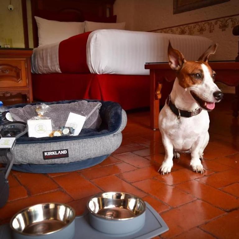 Hosteria Las Quintas Hotel Restaurante Bar - Habitación Doble Estándar - Admite perros - 1