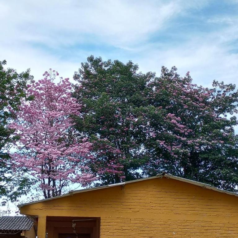 Hospedaje Rural La Trinchera Mirador a la montañas Cerro Azul Trujillo - Apartamento - 18