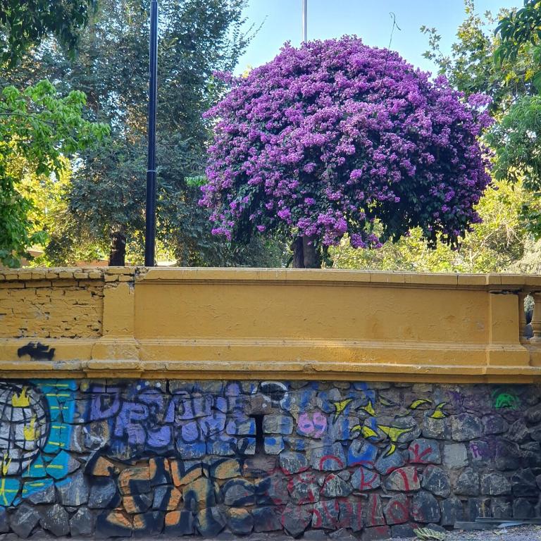 Santiago Lastarria Parque Forestal a inolvidable - Apartamento de 2 dormitorios - 90
