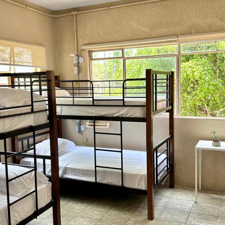 Casa Artemisa hostal - Bed in 8-Bed Mixed Dormitory Room - 19