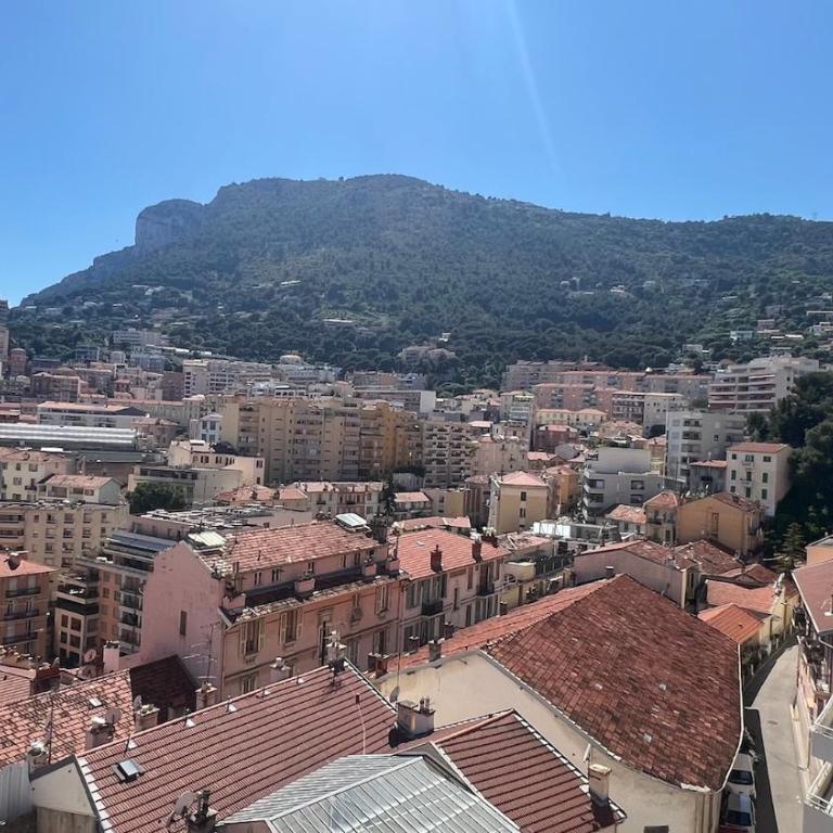 Sea View Penthouse, Monaco Border, Private Parking - Appartement 2 Chambres - 10
