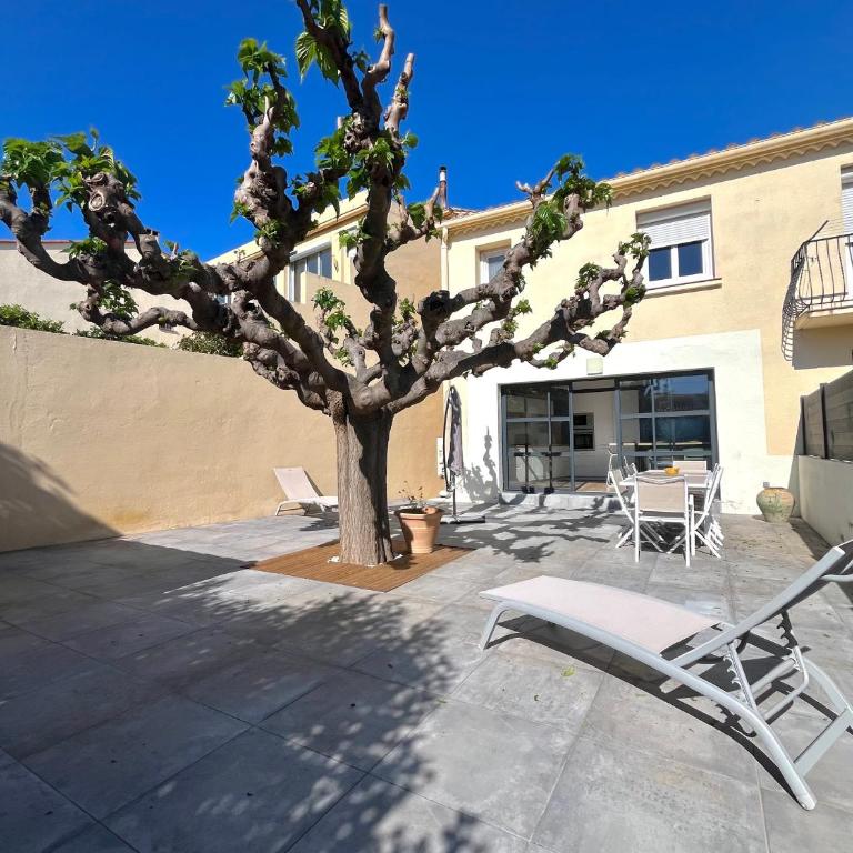 Charmante maison familiale pour 10 personnes à Banyuls - FR-1-309-511 - Maison 5 Chambres - 18