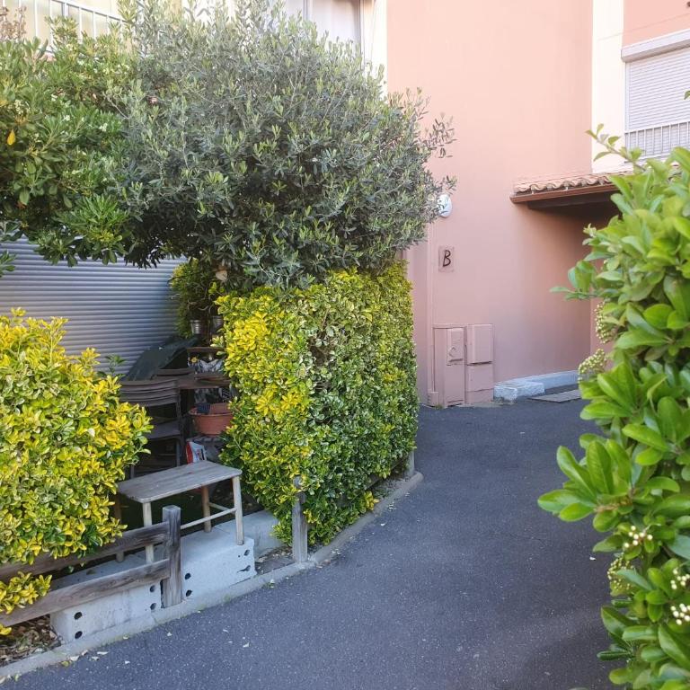 appartement avant port - Apartamento de 1 dormitorio - 12