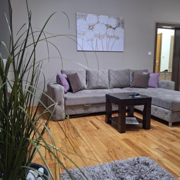 Apartmani Radulović - Superior Apartment - 15