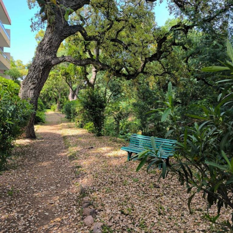 Appart à deux pas de la plage Boulouris St Raphael - One-Bedroom Apartment - 13
