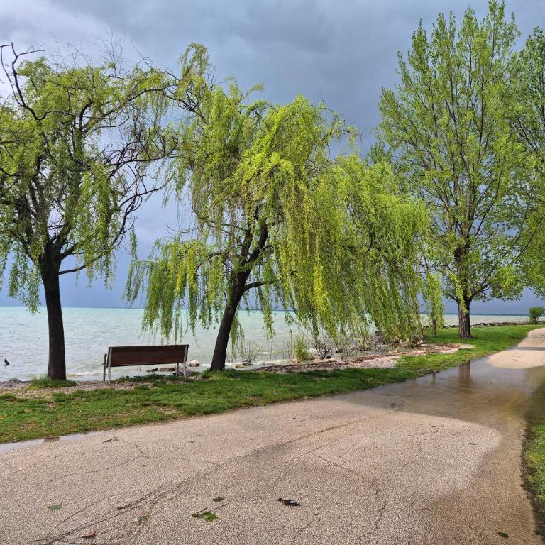 Appartamento la quiete By Case al Lago - Appartamento - 30