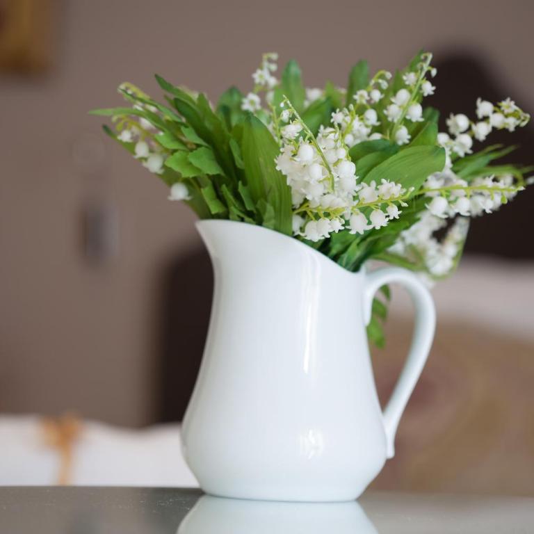 Belle Apartments - Luxury Apartments - Apartman sa Balkonom - 12