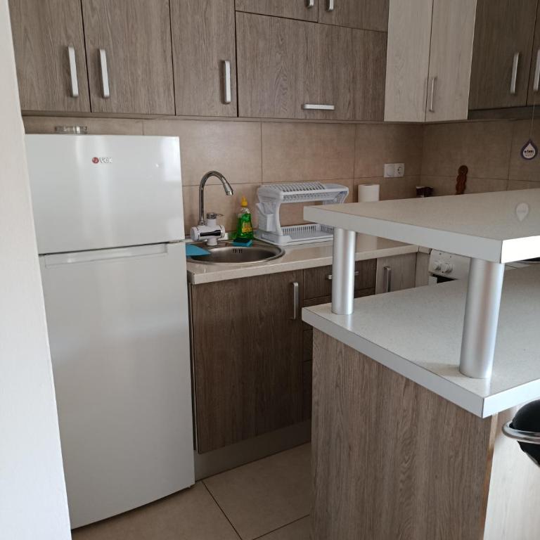 Kosmaj - Apartman sa 1 Spavaćom Sobom - 14