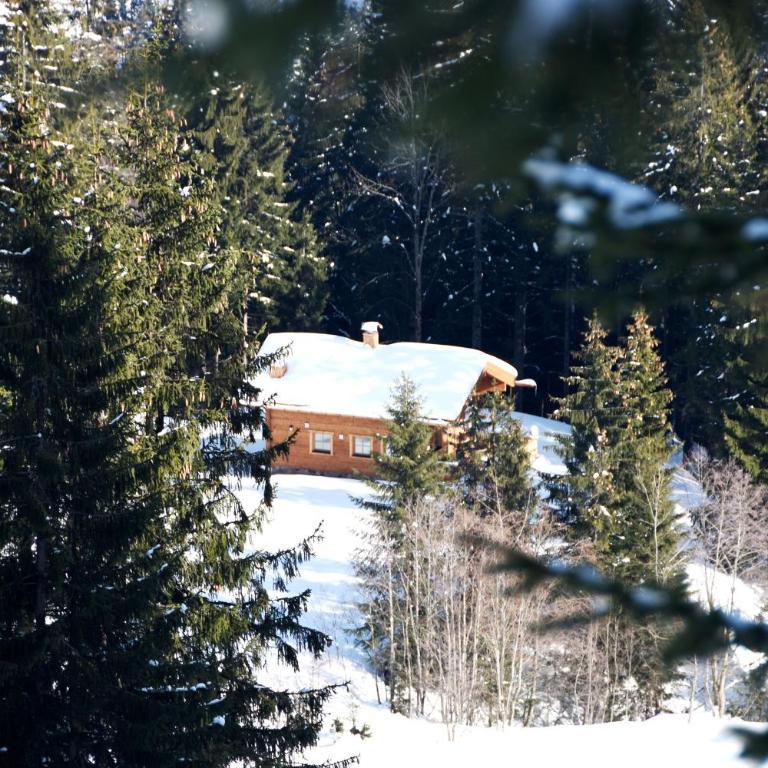 Chalet Haberlhütte - Superior Chalet - 27