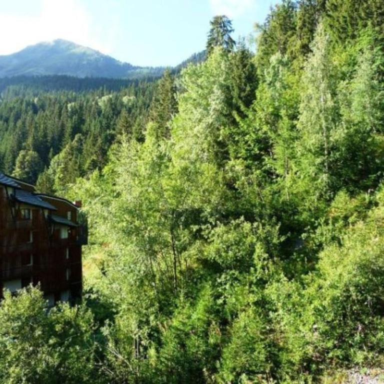 Appartement skis aux pieds, 4 couchages, balcon, wifi inclus - FR-1-513-66 - Appartement - 5