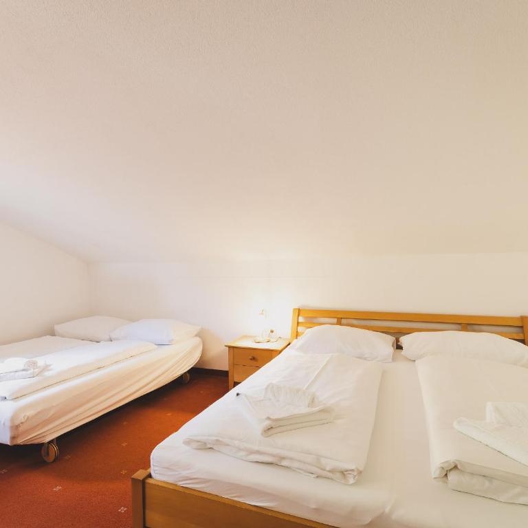 Chalet Nathalie by we rent, SUMMERCARD INCLUDED - Superior Chalet - 16