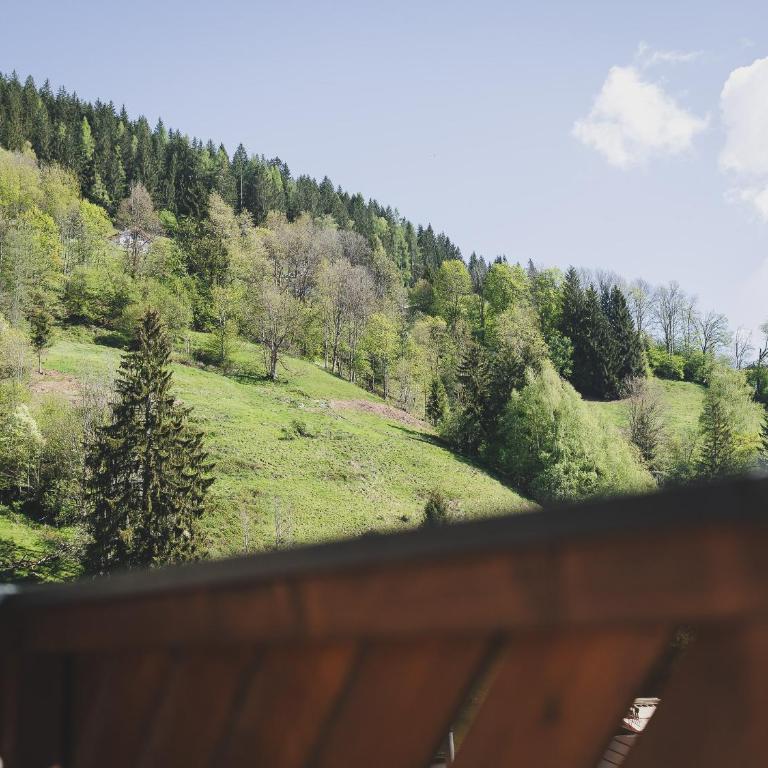 Chalet Nathalie by we rent, SUMMERCARD INCLUDED - Superior Chalet - 10