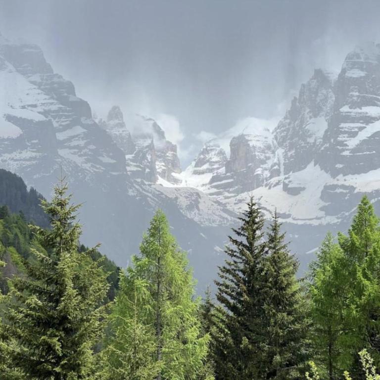 Menz campiglio - Appartamento con 1 Camera da Letto - 11
